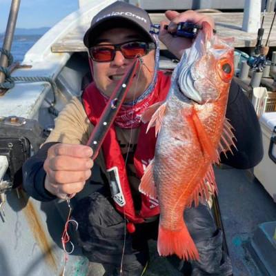 ふるさと納税 泉大津市 フルボ250g　おすすめカラー　2本セット |  | 02