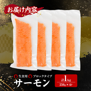 生食用 サーモン ブロック(計1kg・250g×4P) 鮭 小分け 真空 パック 冷凍 刺身 シャケ サケ 魚 魚介 【AW-100】【丸正水産】