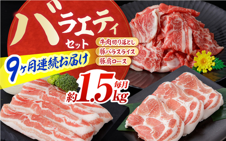 【9回定期便】お肉の定期便 バラエティセット 総計約13.5kg / 豚肉 豚肉 豚肉 豚肉 豚肉 [ATAP117]