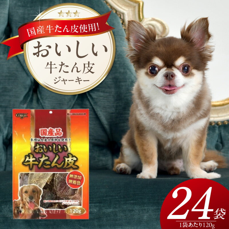 【ふるさと納税】おいしい 牛たん皮 ジャーキー 犬用 おやつ 120g × 24袋 愛犬 やさしいおやつ 健康 サポート 国産 牛肉 牛たん 硬い 長持ち ストレス解消 歯磨き効果 自然派 おやつ 専用パウチ入り 福岡県 久留米市