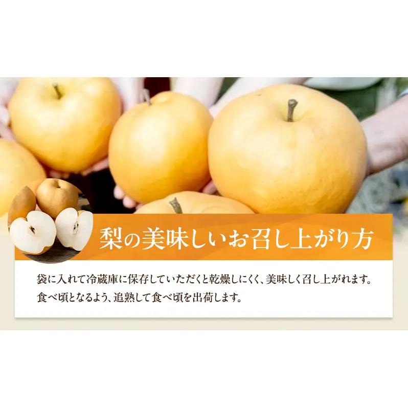 梨 2026年 備前横綱梨（あたご梨）3玉（1玉1～1.4kg）贈答箱  岡山県産 梨
