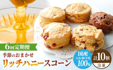 【6回定期便】リッチハニースコーン アソート 10個 多治見市/famfam スイーツ 洋菓子 焼菓子 スコーン デザート 焼き菓子 個包装 詰め合わせ 詰合せ セット おまかせ 朝食 おやつ ティータイム 手土産 冷凍 定期便 送料無料 母の日 父の日 プレゼント ギフト 贈答 贈り物 [TAK012]
