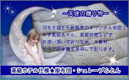 羽毛を超えた 無地掛け布団 (綿100%)  掛け布団