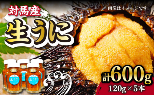 
対馬産 生うに 120g×5本《対馬市》【保家商事】 うに ウニ 雲丹 生ウニ 海鮮 海産物 [WAA010]
