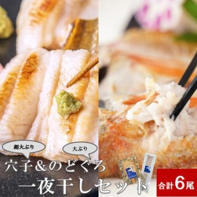 ふるさと納税 大田市 大ぶり「のどぐろ一夜干」(3尾)　&amp;超大ぶり「穴子一夜干」(3尾)　(E175)