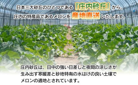 【令和6年産先行予約】鶴岡産砂丘メロン 秀逸品 アンデスメロン 大玉2個(青玉)　成澤農園　A05-602
