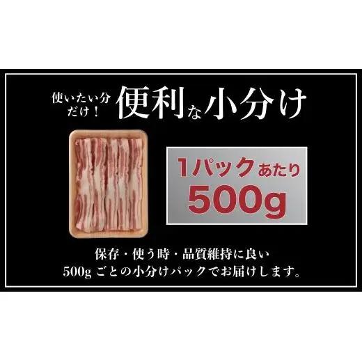 【3回定期便】 長崎県産 豚肉 バラスライス 計1kg (500g×2) 総計3kg 定期便 小分け 冷凍 豚肉 しゃぶしゃぶ すき焼き ぶたにく 国産豚 3回 定期便 