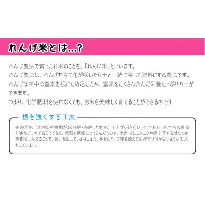 ふるさと納税 臼杵市 【令和7年度産】こだわり農法の「れんげ米」精米(2kg) |  | 01