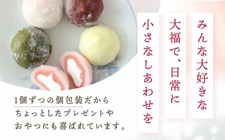 やわらかクリーム大福 5種13個 | 和菓子スイーツ 訳あり 和菓子  GC002 