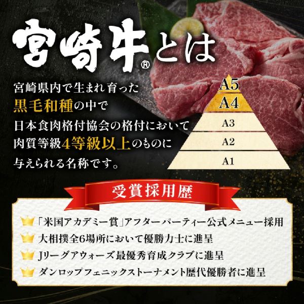 【 A4等級以上】宮崎牛サーロインステーキ 200g×3枚  黒毛和牛 牛肉 霜降り サーロイン ロース 内閣総理大臣賞4大会連続受賞