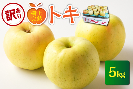 【2025年10月発送】【訳あり】 りんご 約5kg トキ〈樹上完熟〉 青森産