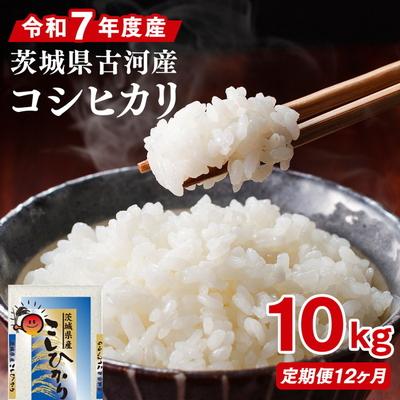 ふるさと納税 古河市 【定期便 12か月】令和7年産 古河市産コシヒカリ 10kg(5kg×2袋) | 米 _DP45