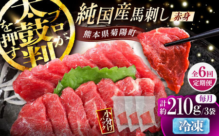 【全6回定期便】純国産馬 赤身馬刺し 計約210g (約70g×3個) / ばさし 馬刺 あかみ 熊本馬刺し 熊本県 菊陽町【株式会社古閑ファーム】[BHDF037]