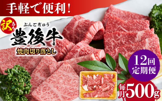 【全12回定期便】【訳あり】おおいた豊後牛 焼肉 切り落とし 500g 日田市 / 株式会社MEAT PLUS 訳あり 牛肉 おおいた豊後牛 おおいた 豊後牛 黒毛和牛 国産  焼肉 焼肉用 [AREI133]