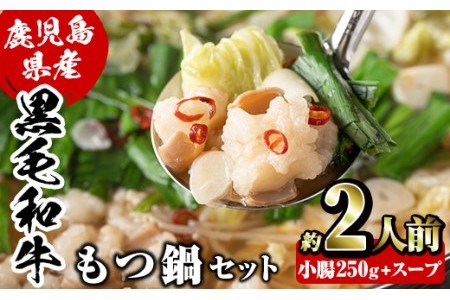 鹿児島県産黒毛和牛小腸使用！もつ鍋セット(約2人前分)国産 モツ モツ鍋 ホルモン 牛肉 出汁 醤油ベース 惣菜 おかず【和食処まきや】akn065-01
