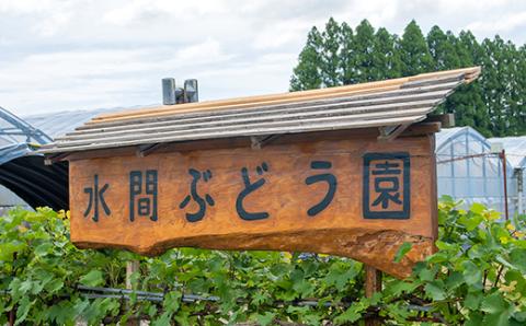 シャインマスカット1.0kg（2～3房）西都産完熟ぶどう【先行予約】水間ぶどう園＜1.1-23＞西都市 フルーツ 果物 くだもの ぶどう ブドウ 宮崎県