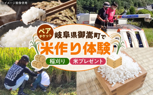 稲刈り体験 お土産つき ペアチケット/稲刈り お米 米 体験/御嵩町/株式会社アオキ [AVBN003]
