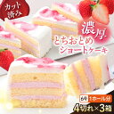 【ふるさと納税】ドルチェケーキ とちおとめショート ケーキ 計12個（4個×3箱）カットケーキ ミニケーキ お菓子 スイーツ 贅沢 洋菓子 ケーキ いちご 【ファミール製菓株式会社】[AKCI022]