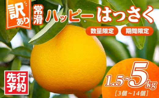 
                  【先行予約】【訳あり】常滑ハッピーはっさく【選べる容量】1.5kg～5kg｜ 果物 フルーツ 柑橘 八朔 ハッサク みかん 訳あり ご家庭用 数量限定 愛知県 常滑市 知多半島
                