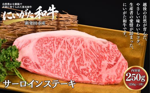 肉 和牛 サーロインステーキ 250g 焼肉 ステーキ にいがた和牛 黒毛和牛 牛肉 ギフト 贈答用 グルメ お取り寄せ 新発田市産 ごちそう 精肉 新潟県 新発田市 yoneichi013