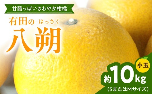 
                  【2027年先行予約】【手選果】 有田産の八朔 10kg 小玉 (SまたはMサイズいずれかお届け) 【はっさく ハッサク 八朔 和歌山産】_ZD6306n
                