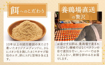 【感動の卵体験】コク旨 極上卵 60 個 割れ保証付き