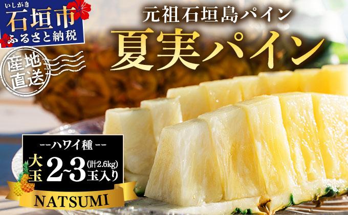 【先行予約】《2025年夏季 順次発送》夏実パイン（ハワイ種）大玉2～3個 計2.6kg　SI-47