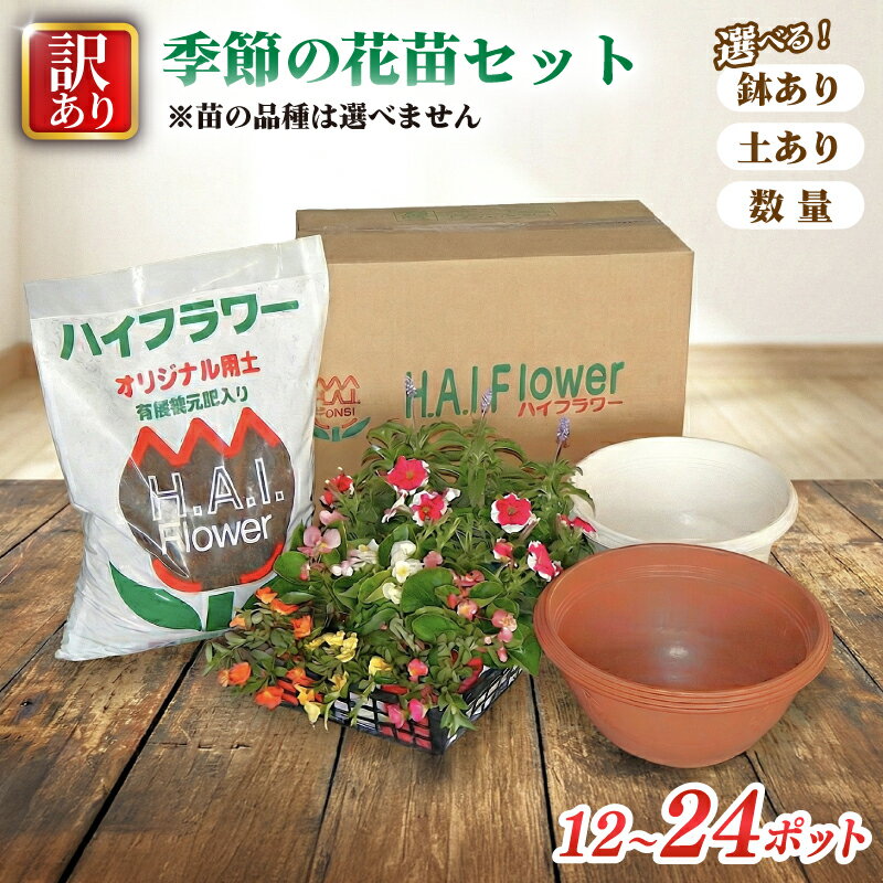 【ふるさと納税】 訳あり 品種お任せ 季節のお花 選べる セット 24ポット 12ポット 寄せ植え 花 ガーデニング 園芸 花苗 お花 寄植え ハイフラワー 埼玉県 羽生市
