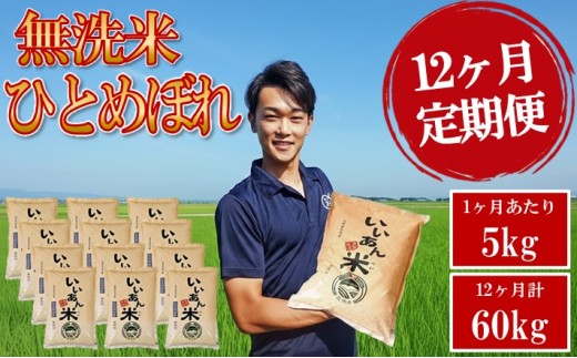 ≪12ヶ月定期便≫ 無洗米 ひとめぼれ 5kg×12ヶ月連続 計60kg 山形県庄内産 毎月中旬頃お届け 産地直送 定期便 米 お米 白米 庄内米 いいあん米 ブランド米 東北 酒田市 アグレスト JGAP認証農場 AG　SN0025