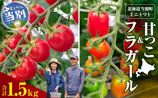 北海道当別町産化学農薬不使用ミニトマト 甘っこ750g＋フラガール750g（合計1.5kg）