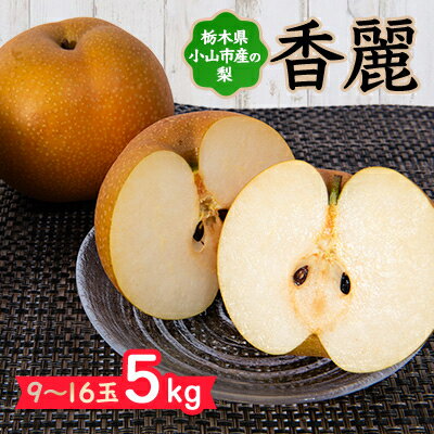 【ふるさと納税】栃木県小山市産「梨」香麗 5kg【1413077】