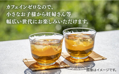 麦茶 600ml × 24本  糸島市 / スターナイン お茶 ペットボトル[ARM005]