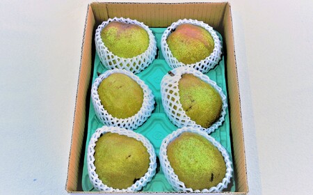 【定期便：全２回】オーロラとラ・フランス　各２.５ｋｇ　0012-2607