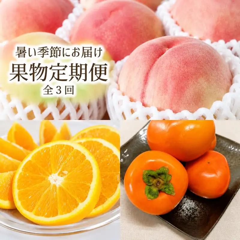 【全3回定期】暑い季節にお届け！果物定期便　バレンシアオレンジ・桃・柿　旬のフルーツをお届け♪【tkb142】