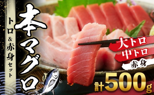 
                  本マグロ トロ+赤身セット 500g | 那智勝浦町 海鮮 魚介類 本まぐろ 本マグロ まぐろ マグロ 鮪 maguro トロ 赤身 刺身用 セット 人気 おすすめ グルメ 大トロ 中トロ 寿司  国産まぐろ
                