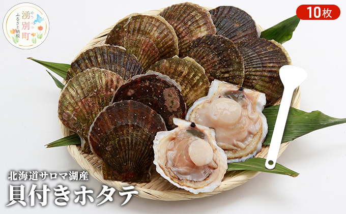 【国内消費拡大求む】先行予約 北海道 サロマ湖産　貝付き ホタテ 10枚 帆立 ほたて 刺身 海鮮 魚介 国産 殻付き 冷蔵 オホーツク 魚貝類 貝付きホタテ 魚介類 