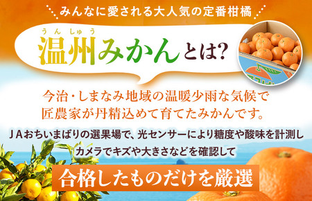【先行予約】温州みかん4kg [KB00900] 2026年10月下旬～11月下旬に順次発送予定 期間限定 ふるさと納税ミカン 温州ミカン 甘いみかん 愛媛みかん 果物 フルーツ ふるさと納税フルーツ