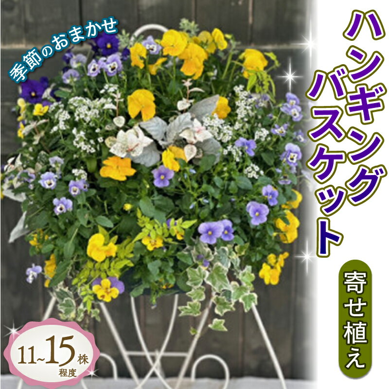 【ふるさと納税】 ハンギング バスケット 花苗 おまかせ 寄せ植え 季節 お花 ガーデニング 園芸 植物 生花 ギフト 贈り物 インテリア フラワーギフト プレゼント 2025年1月より順次発送