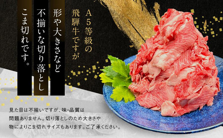 訳あり A5 飛騨牛 切り落とし 600g（3パック）| 小分け 飛騨牛 HF046