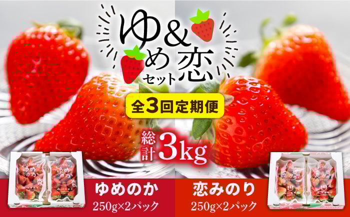 
            【先行予約】【全3回定期便】《2月〜4月：毎月発送！》イチゴ1kg 食べ比べ  「ゆめ恋セット（ゆめのか・恋みのり ）」（250g×4パック）【2026年2月以降順次発送】《壱岐市》【蒼花】 [JEO003] いちご イチゴ 苺 フルーツ 果物 ゆめのか 恋みのり セット 食べ比べ  冷蔵 あまおう 45000 45000円
          