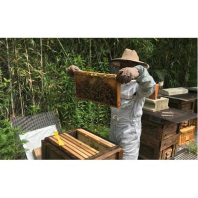 ふるさと納税 那珂川市 100% 純粋はちみつ(百花蜜)3種セット |  | 03