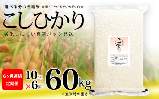 こしひかり 玄米時重量 5kg×2袋×6回 6ヶ月連続 定期便 玄米時重量60kg 分づき米 対応可 真空パック コシヒカリ 米 簡易梱包 エコ梱包