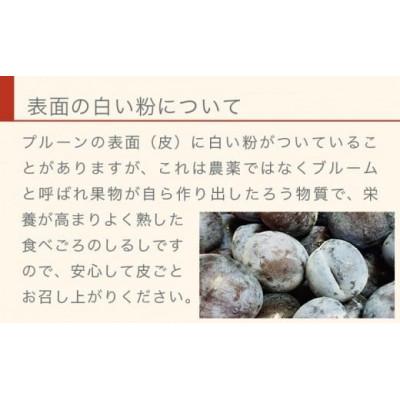 ふるさと納税 小布施町 長野県産 旬のプルーン 約2kg |  | 03
