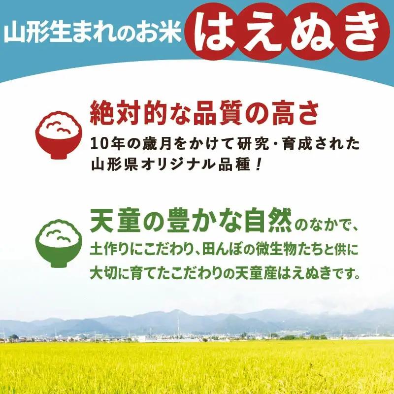 つや姫 雪若丸 はえぬき セット 15kg 令和8年産 米 精米
