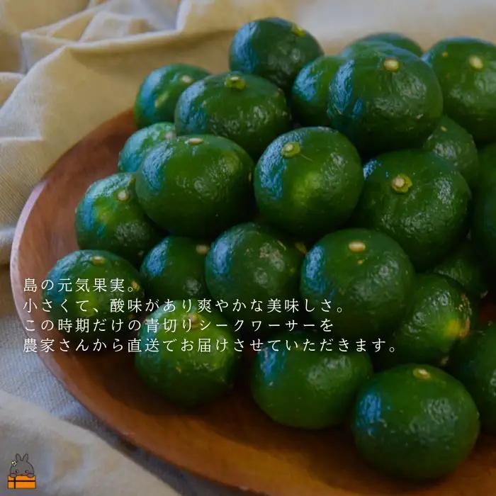 《今が旬！》世界自然遺産の島の青切りシークワァーサー（1㎏）※冷蔵配送 ( 農家直送 シークワーサー シークヮーサー みかん 徳之島 仲農園 )