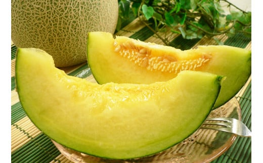 08-01-028　アールスメロン 2玉
