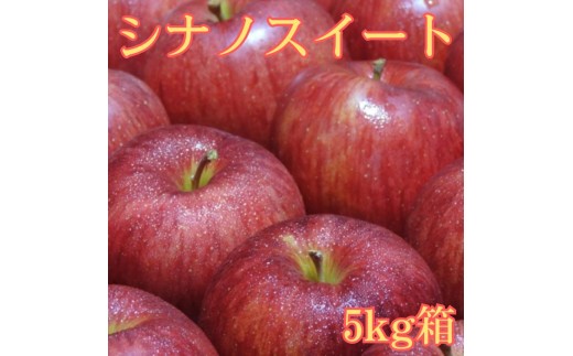 シナノスイート 5kg箱 ＜10月中旬より発送＞ 長野県 南信州 高森町 りんご