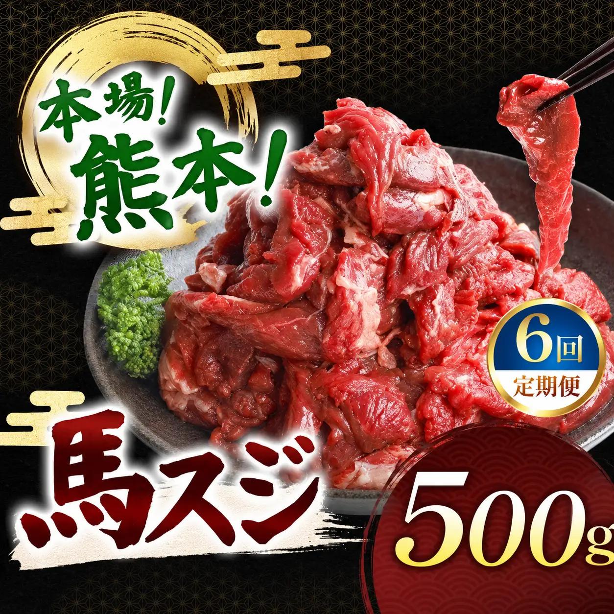 【定期便 6回】馬スジ 500g | 肉 にく お肉 おにく 馬 馬肉 馬スジ 定期 定期便 熊本県 玉名市