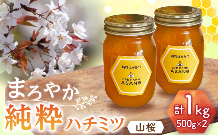 
                  純粋ハチミツ 山桜 500g×2 瑞浪市 / honey shop Bee farm asano 蜂蜜 はちみつ [AZBT009]
                