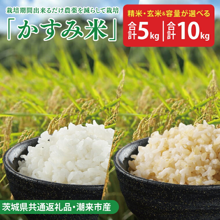 【ふるさと納税】【選べる】【茨城県共通返礼品・潮来市産】【先行予約】令和7年産新米　栽培期間出来るだけ農薬を減らして作る「かすみ米」（コシヒカリ）【減農薬 こしひかり おいしい おこめ 安心 安全 健康 精米 玄米】（KBE-107）